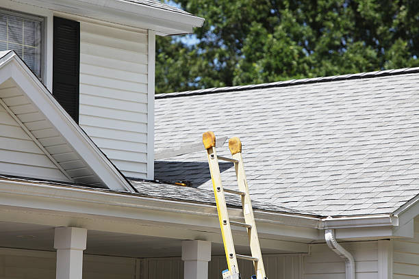 Shed Removal in Trotwood, OH